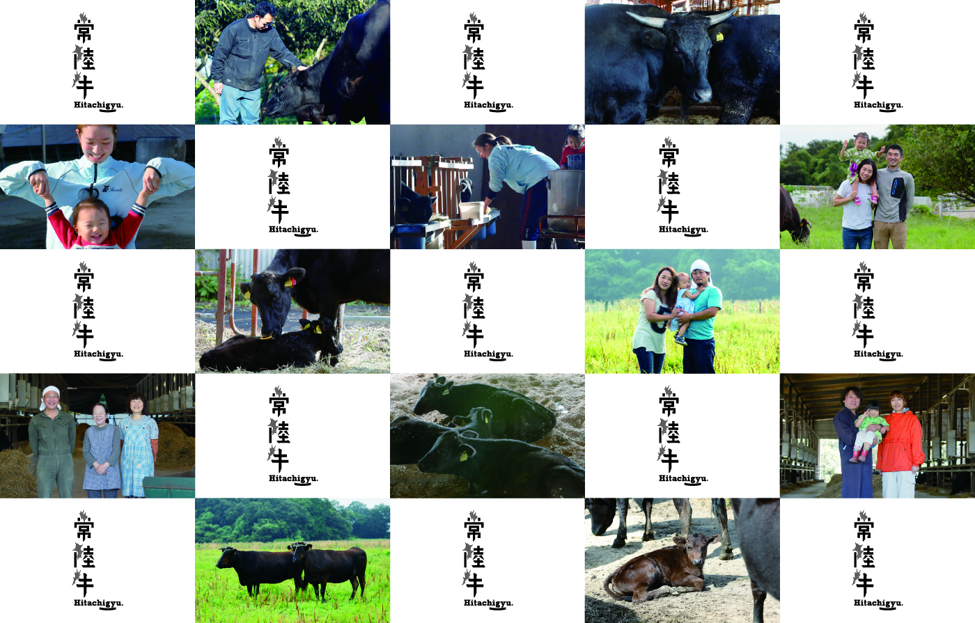 Belated New Year Greetings!!!